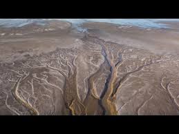 It served as a critical stopover point for hundreds of migratory bird species and the winter or permanent home of dozens of species of waterbirds, including 75 percent of. Bringing The Colorado River Delta Back To Life After 16 Dry Years Youtube