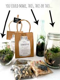 Diy Terrarium Kit Etsy Diy Terrarium Kit Terrariums Kits Diy Moss Terrarium