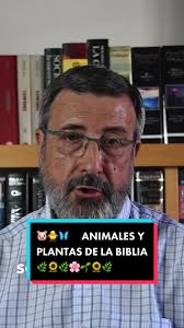 Como Hacer Un Lapbook Sobre La Historia De Las Plantas