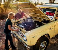 Image result for Calcutta Russet 1968 AMC