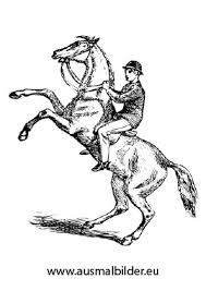 Ausmalbild Aufsteigendes Pferd Mit Reiter Zum Ausmalen Ausmalbilder Ausmalbilderpferde Malvorlagen Ausmalbilder Pferde Ausmalbilder Tiere Ausmalen