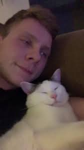 #fypシ #catsoftiktok #yourmom #kyle