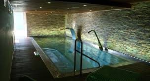 Using Stainless Steel For Constructing Swimming Pools Cougartron Swimming Pools Pool Cost Swimming Pool Cost