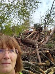 Chrissy Nelson (@Chrissy_Nelson)