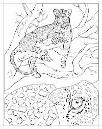 Click the cheetah family coloring pages to view printable version or color it online (compatible with ipad and android tablets). Cheetah Coloring Pages 100 Pictures Free Printable