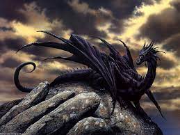 Black Dragon Dragon Images Fantasy Dragon Dragon Pictures