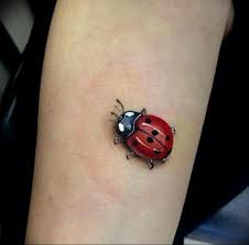 Think about adding one to: Photo Ladybug Tattoo 17 04 2019 012 Idea For Ladybug Tattoo Tattoovalue Net Tattoovalue Net