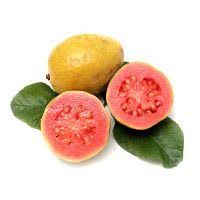 Les Fruits Et Legumes Commencant Par La Lettre G Les Saisons Des Fruits Et Legumes