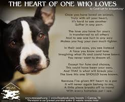 Pin By Debbi Copeland On Animals Group Board Dog Quotes Animals Dog Love