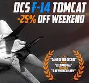 DCS: F-14 Tomcat
