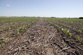 William Fleckenstein