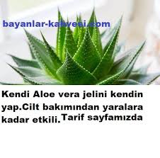 Evde Aloe Vera Jelini Kendin Yap Aoe Vera Doganin En Dogal Sifalarindan Biridir Cilt Bakiminizdan Tutun Da Cilt Yaralarina Diy Crafts Plants Diy