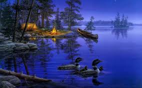 Nature Beautiful Wallpaper Night Green trees, nature, landscape, mountains, rock, water, lake. nature beautiful wallpaper night