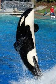 Find the perfect hotel within your budget with reviews from real travelers. Www Zootierliste De