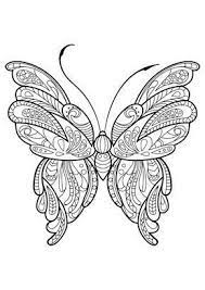 erwachsenen schmetterling malbuch tiere adultcoloringpages en 2020 coloriage papillon mandala livre de couleur fille renard