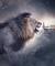 Lion Wallpaper Phone