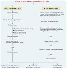 Image result for Active Management of Labor