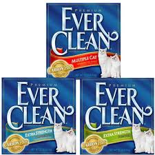 It's also critical for your own prevent litter box problems. Everclean Cat Litter