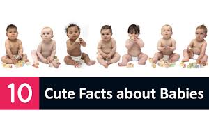 Are babies born without kneecaps? 99 Cute Baby Facts That You Ll Love Fact Retriever