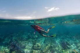 Explore Glover S Reef Atoll In Belize Best Way To Visit Glovers Reef