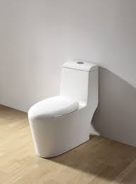 The Debate Between Round Elongated Toilets Dual Flush Toilet Toilet Bathroom Faucet Fixtures
