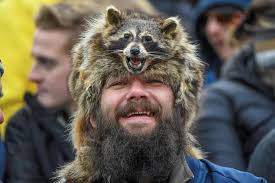 When you find all the trash pandas.