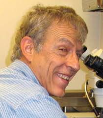 Newsletter of the Mycological Society of America