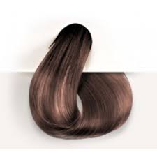 Chouchou des blonds foncés et des peaux mates. Coloration Permanente Blond Fonce Cendre 6c Tint S Of Nature Francois Nature