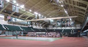 Jenison