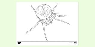 Supercoloring.com is a super fun for all ages: Free Garden Spider Colouring Sheet Colouring Sheets