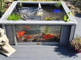 The Lotus Clear View Garden Aquarium Is Crafted With An Interlocking Design For An Exceptional Premium Finish Garde Raised Pond Garden Pond Design Pond Design