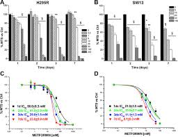 Oncotarget Metformin As A New Anti Cancer Drug In