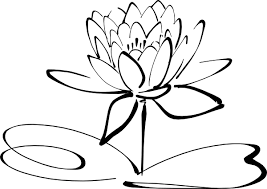 The Meaning Of Mindfulness Lotus Flower Outline Lotus Art Flower Canvas