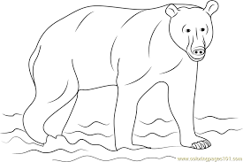 Brown bear coloring pages printable. Kamchatka Brown Bear Coloring Page For Kids Free Bear Printable Coloring Pages Online For Kids Coloringpages101 Com Coloring Pages For Kids