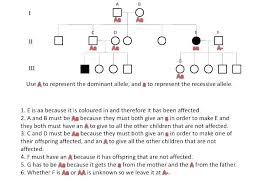 73 Efficient Simple Pedigree Chart Worksheet