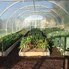 Polytunnels are a big investment, so it's important that you get the layout right. 18ft X 32ft Polytunnel Garden Pride Polytunnels Greenhouses Ireland S Polytunnel Company