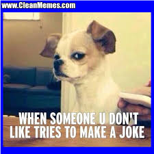 Math jokes nerd jokes hilarious jokes clean puns clean memes funny cute the funny nursing student tips funny tumblr posts. Funny Meme Jokes Clean Meme Wall