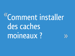 .mandarin cache moineau pvc n… read more protection cache moineau ~ ardoise moineau. Comment Installer Des Caches Moineaux 5 Messages