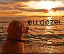 images?q=tbn:ANd9GcQcIirZmBd1gsi2xINOW5i