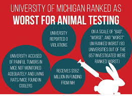 Peta Ranks University Among Worst For Animal Testing The Michigan Daily