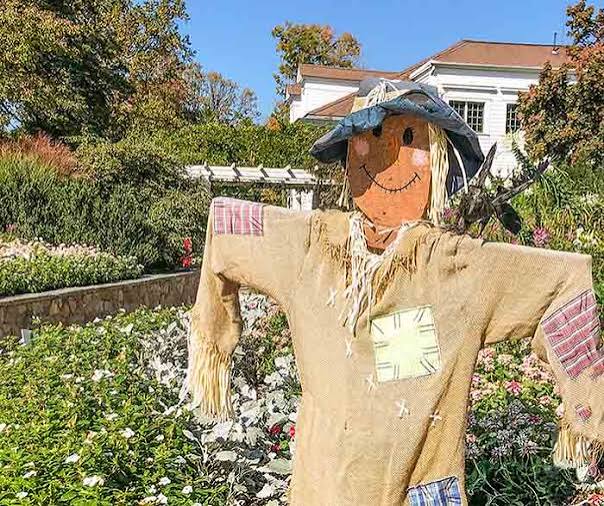 What has become of scarecrows in the garden? - Gardening4Joy