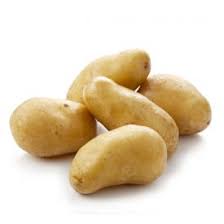 Pommes de terre bio certifiées ecocert. Plants De Pomme De Terre Bio Charlotte