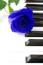 Couleur S Il Vous Plait Blue Roses Wallpaper Blue Roses Red Roses