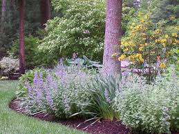 They provide color, texture and decorative interest to the space in the same way selecting the perfect perennials to integrate throughout your best landscaping ideas can be a difficult process due to the endless variety of. Perennial Landscaping Ideas