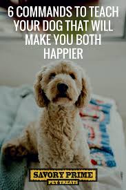 This page is updated regularly with our new goldendoodle litters. 6 Commands To Teach Your Dog That Will Make You Both Happier Savory Prime Pet Treats Dog Training Training Your Puppy Puppy Training