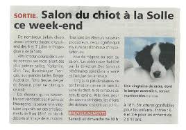 Un événement pour les passionnés du monde canin où de nombreux chiots pourront être admirés sans modération. Archives Hippodrome De La Solle Fontainebleau Site Officiel