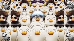 We did not find results for: Wallpaper Gintama Elizabeth 1920x1080 Luccasrog 1428363 Hd Wallpapers Wallhere