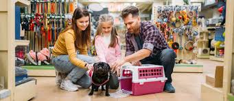 I had to go to a few pet stores to pick up a bunch of pet supplies so i figured i would bring you guys along with me and show you. Top Pet Shops In Abu Dhabi Petshop Pet Shack More Mybayut