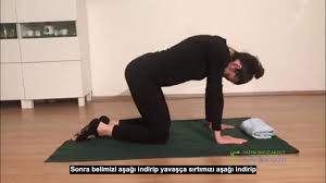 Omurga Mobilizasyon Egzersizi Kedi Deve Youtube