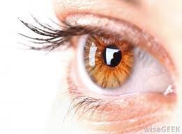 Its great value and careful protection by the eyelids automatically closing when there is the least possibility of danger made it the emblem of that which was most. What Does Apple Of Your Eye Mean With Pictures